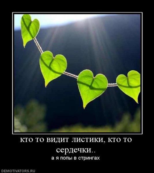 Demotivator (3)