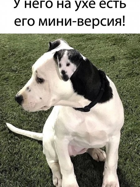 Immbuy 54b34f42d59846a79a76e20e2362d3cd