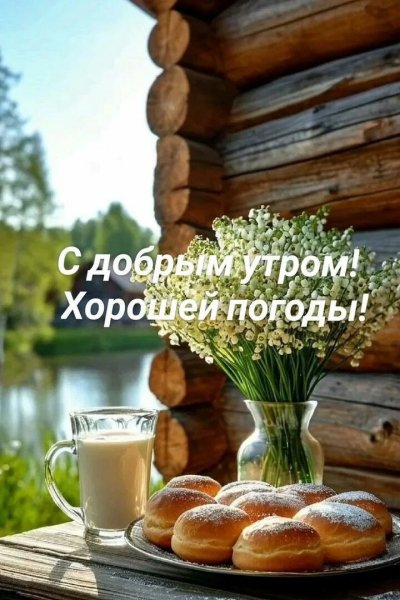 Друзья мои!