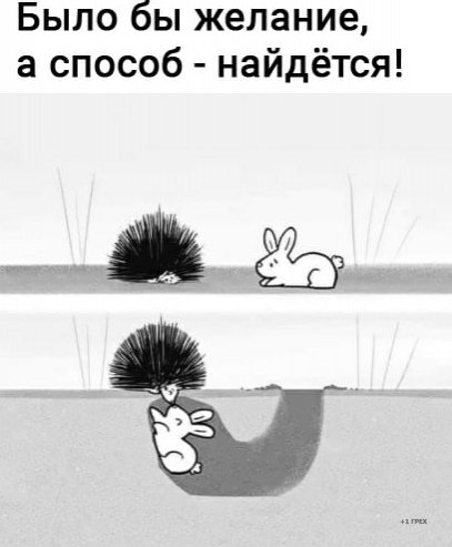 HJW1VhkP2c0