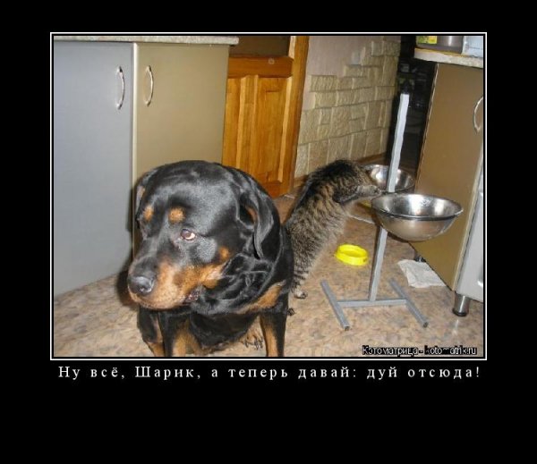 Опаньки!