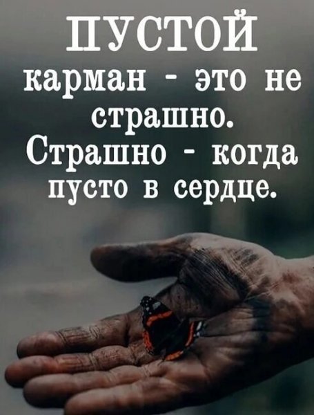 Бабочка