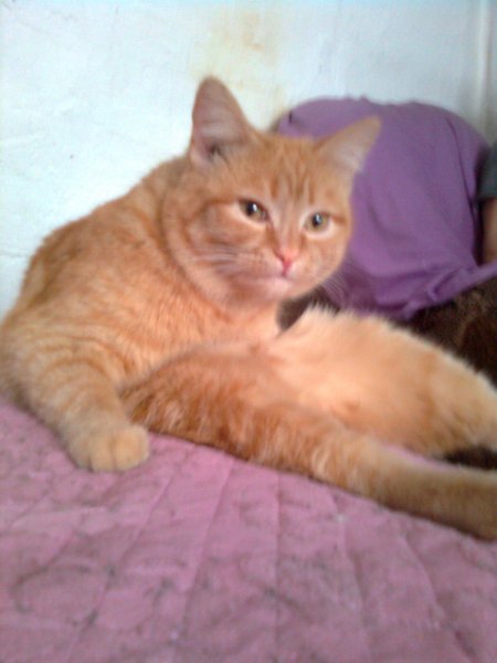 picture_413415976