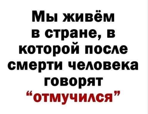 FB IMG 16082366105544357