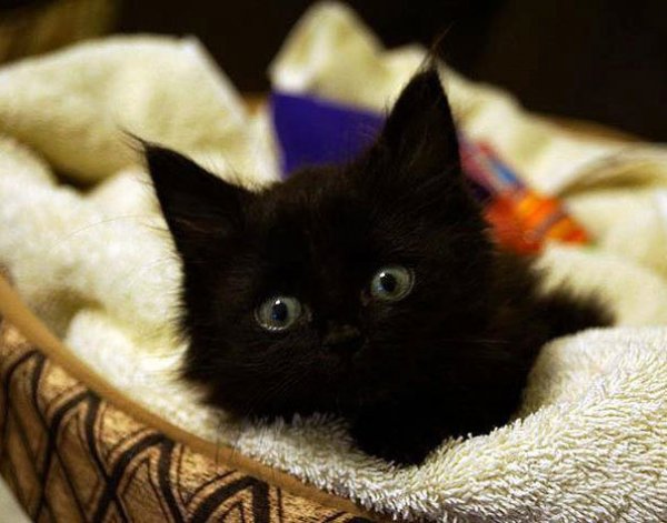 IMG 20170311 195316 12
