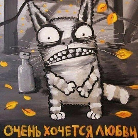 picture_408878972