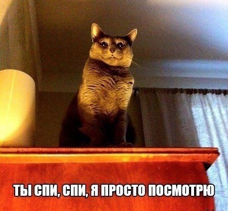smeshnye-kartinki-s-nadpisjami-37