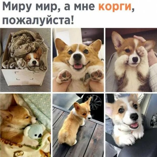 Да! ))