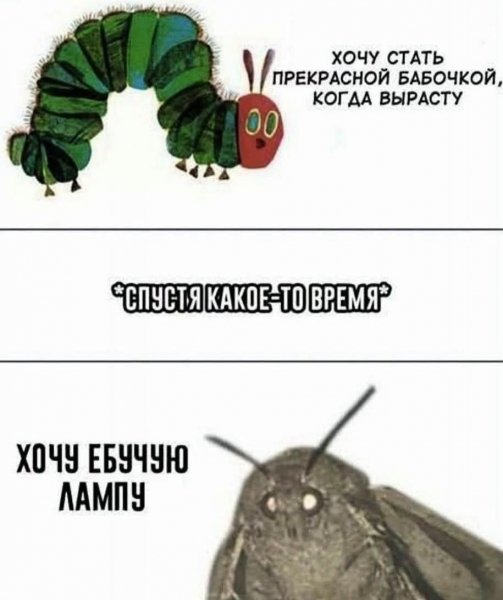IMG 20260809 120822 557