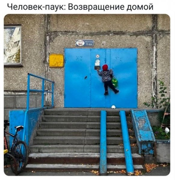 B4df17ec50 20452822