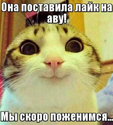 Like)