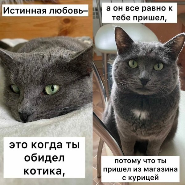 IMG 20260816 172247