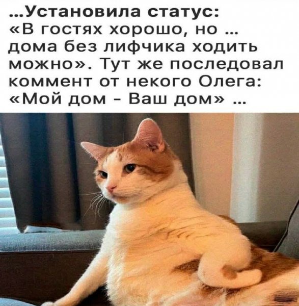 Гостеприимный Олег )