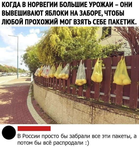 урожай