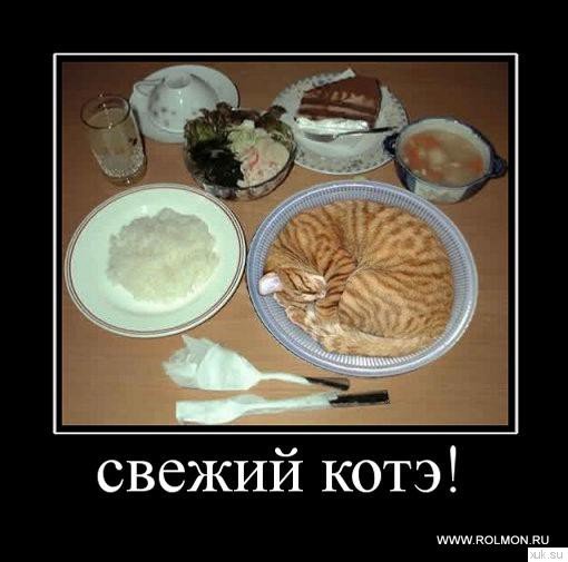 Demotivatory (91)
