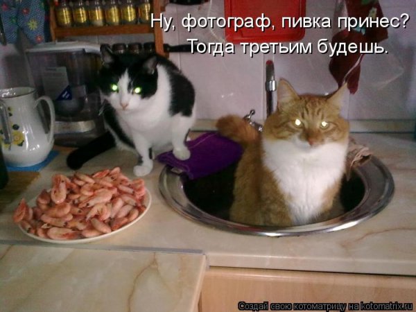 Третьим будешь