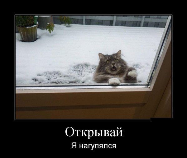 Открывай