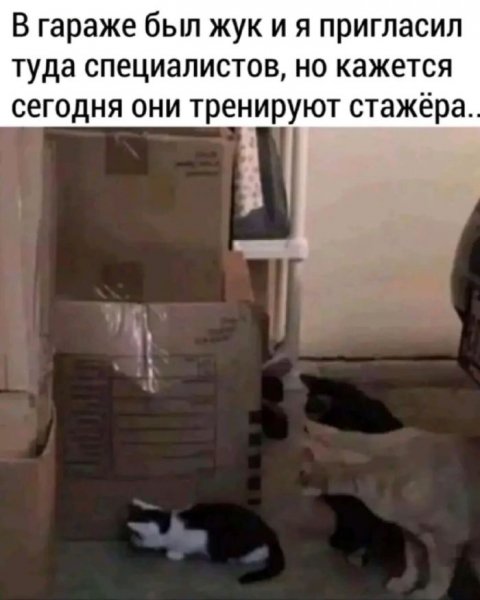 B52d88932b 00000000000