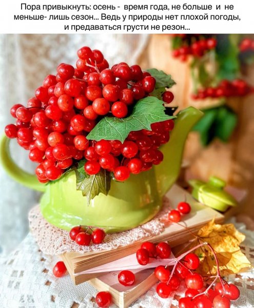 marinaalekminskaya 20200911 19
