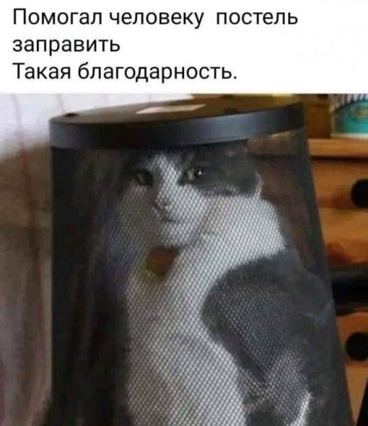КотЭ)