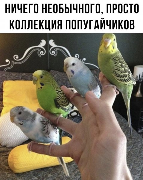 Да! ))