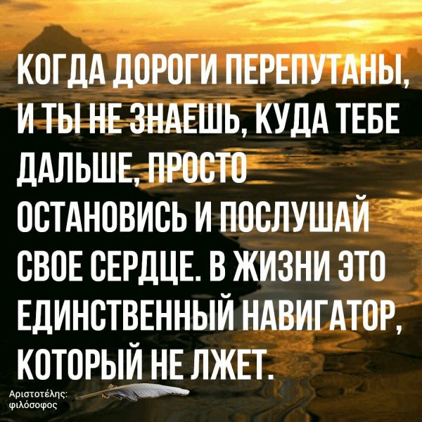 Верные слова!