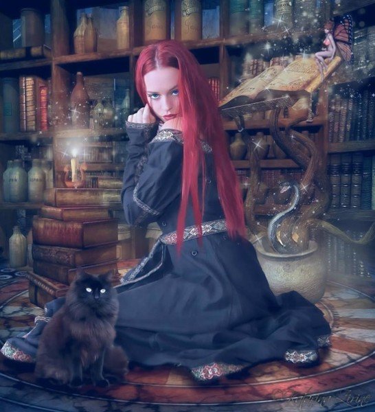 picture_284988960