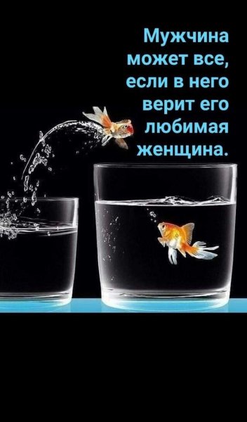 03c4e944b6a0cd46265b26644a9f78ad