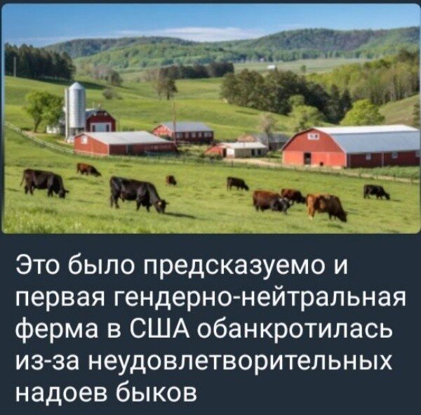 IMG 20250506 192209