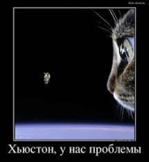 pics
