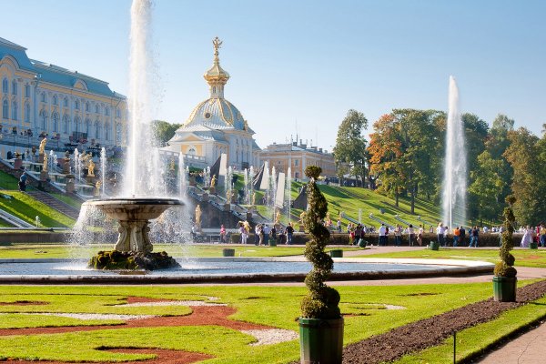 В границах современного Петергофа находится не