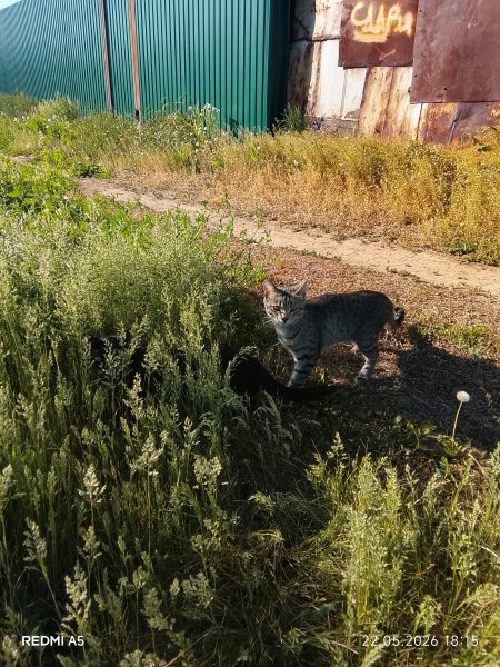 picture_413097221