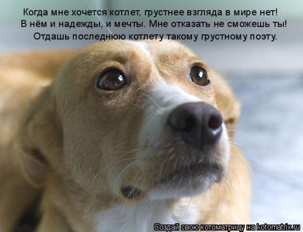 Да!