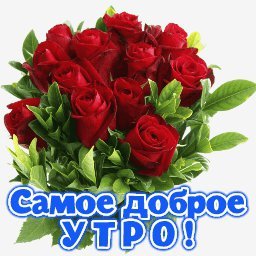 доброе утро