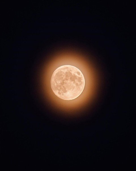 picture_298147490