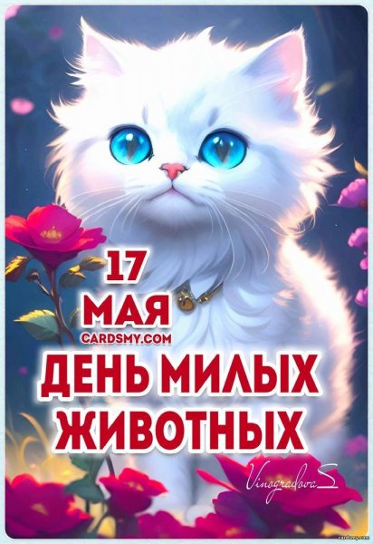 05-17