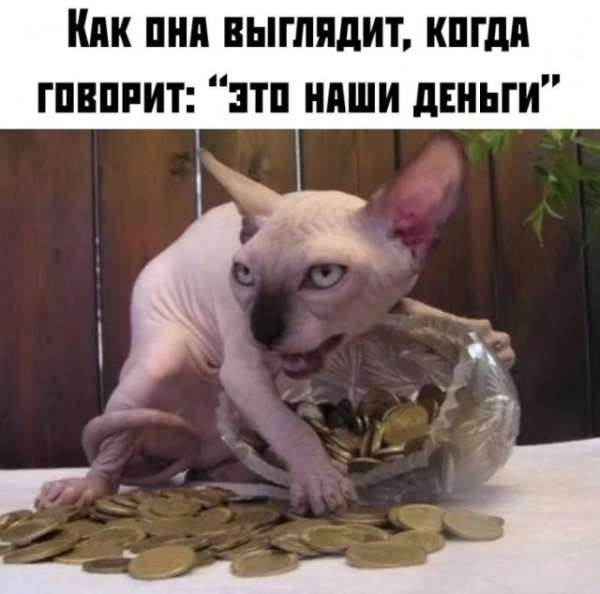 Наши)