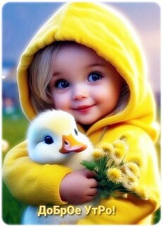 Bab4baa4be3d499ebc6cba8d8622b96e