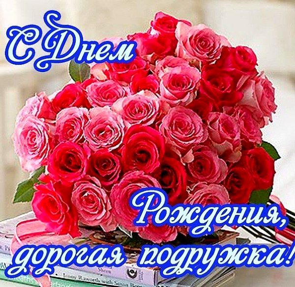 picture_382733761