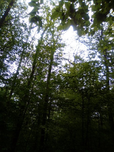 IMG 20200531 104753