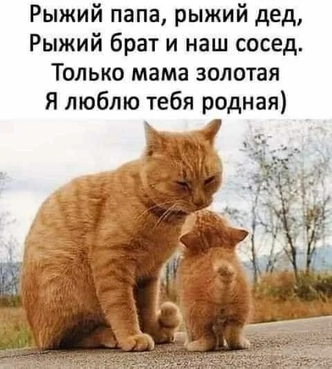 Да!!!