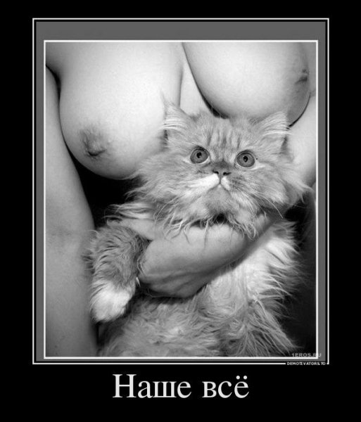 Наше всё)))