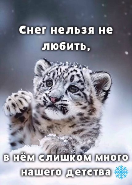 C3ece966ac 20551274