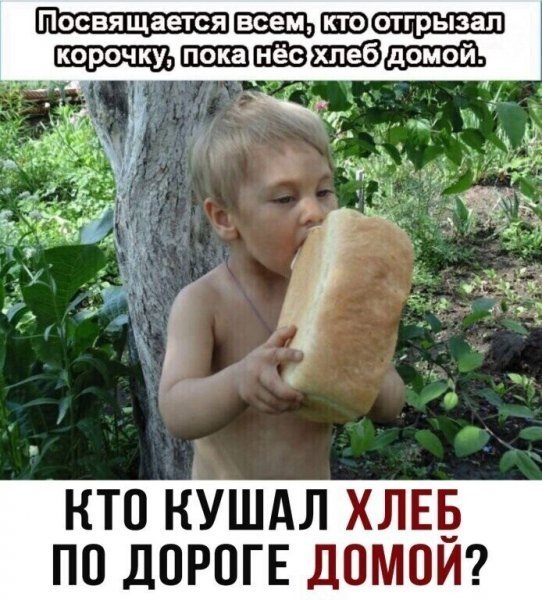 picture_381516697