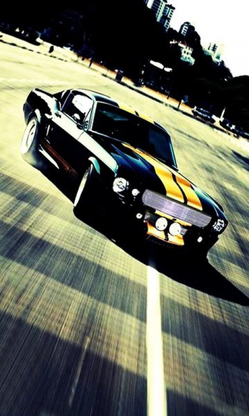 picture_90559388