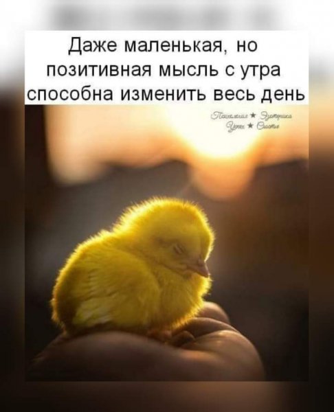 FB IMG 1621167062363
