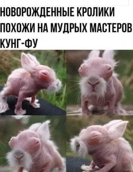 IMG 20231009 151010 057
