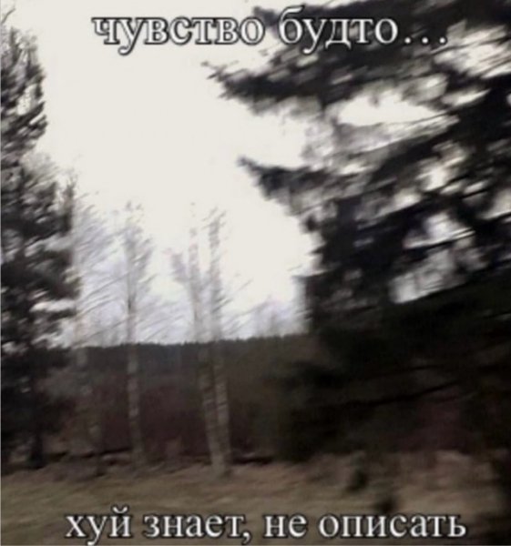 picture_418661737