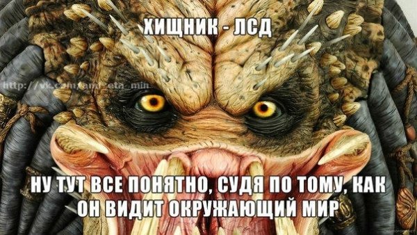 0RikSxQM0lI