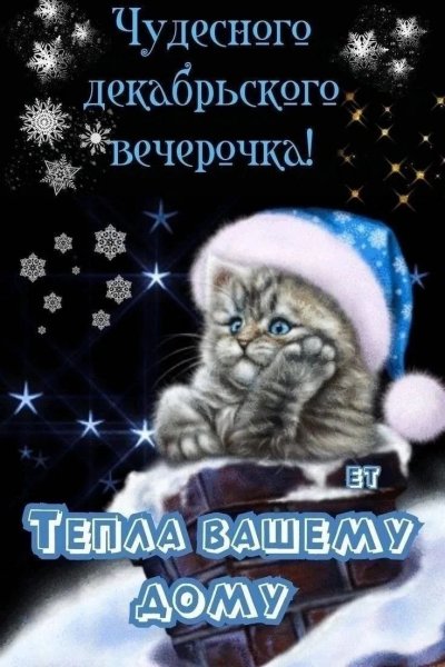 IMG 20251226 191943 464